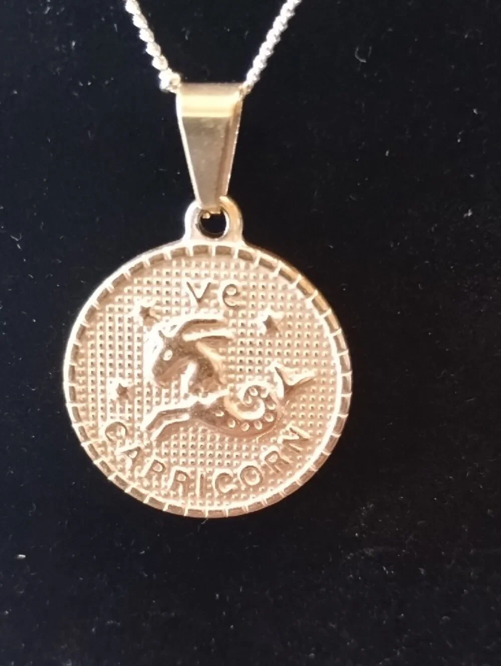 Gold Capricorn Pendant Necklace - Picture 4 of 16